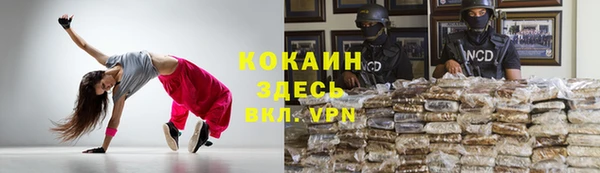 шишки Орск
