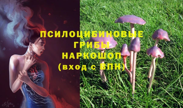 герыч Абаза